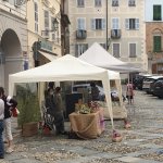 Scorcio della Piazza del Municipio col mercato - Foto P. Contegiacomo